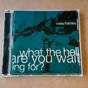 Casey Barnes – What The Hell Are You Waiting For?