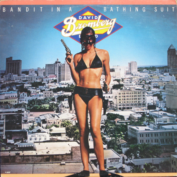 David Bromberg Band – Bandit In A Bathing Suit