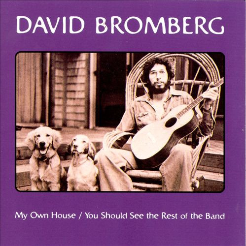 David Bromberg / David Bromberg Band – My Own House / You Should See The Rest Of